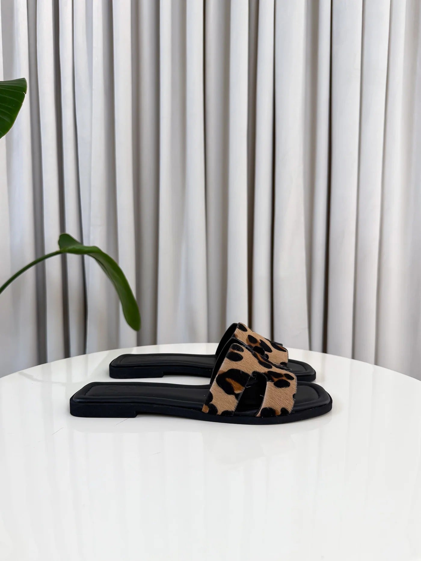 Aria | Elegant Edition